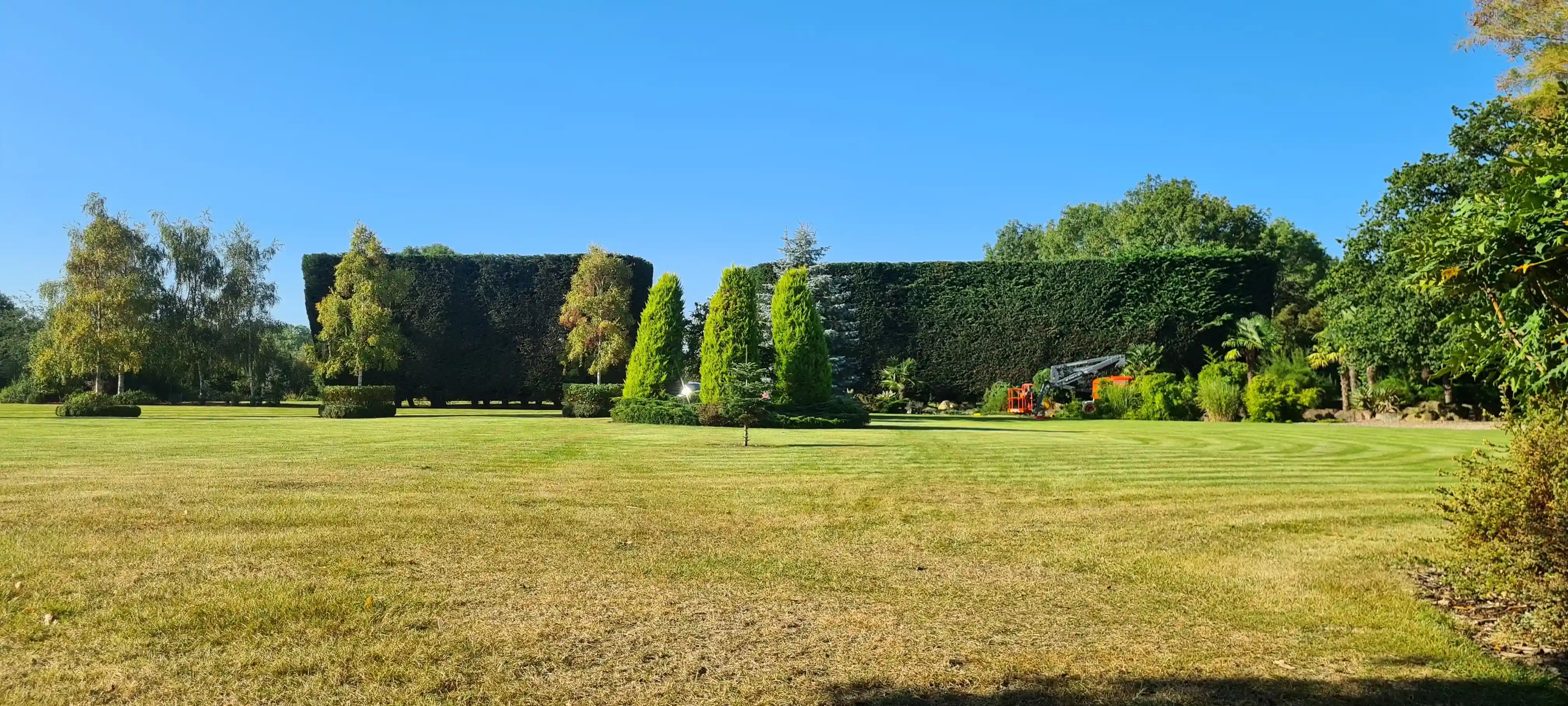 Formal garden landscaping with lawn and planted borders across Kent